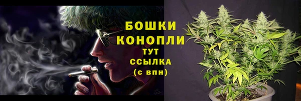 мдпв Надым