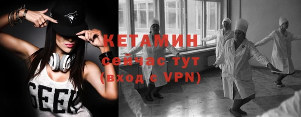 твердый Гусь-Хрустальный