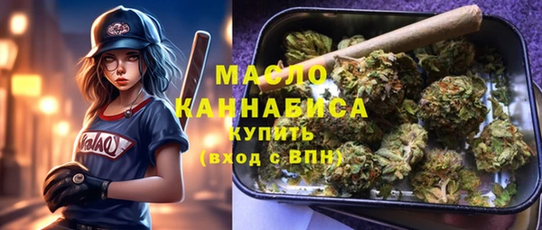 мдпв Надым