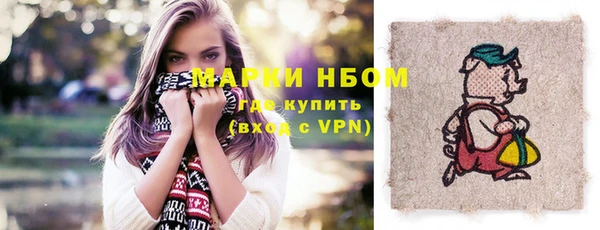 мдпв Надым